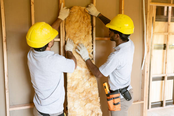 Eco-Friendly or Green Insulation Solutions in Tyrone, OK